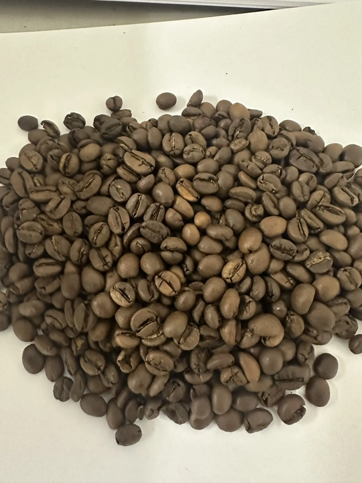 Espresso Denso 80/20